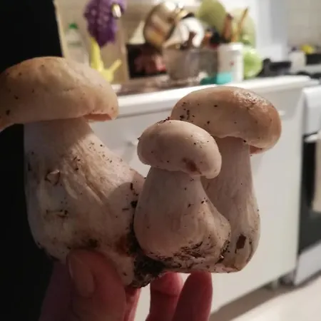 Chatki Nad Wodnym Zakatkiem. 3*
